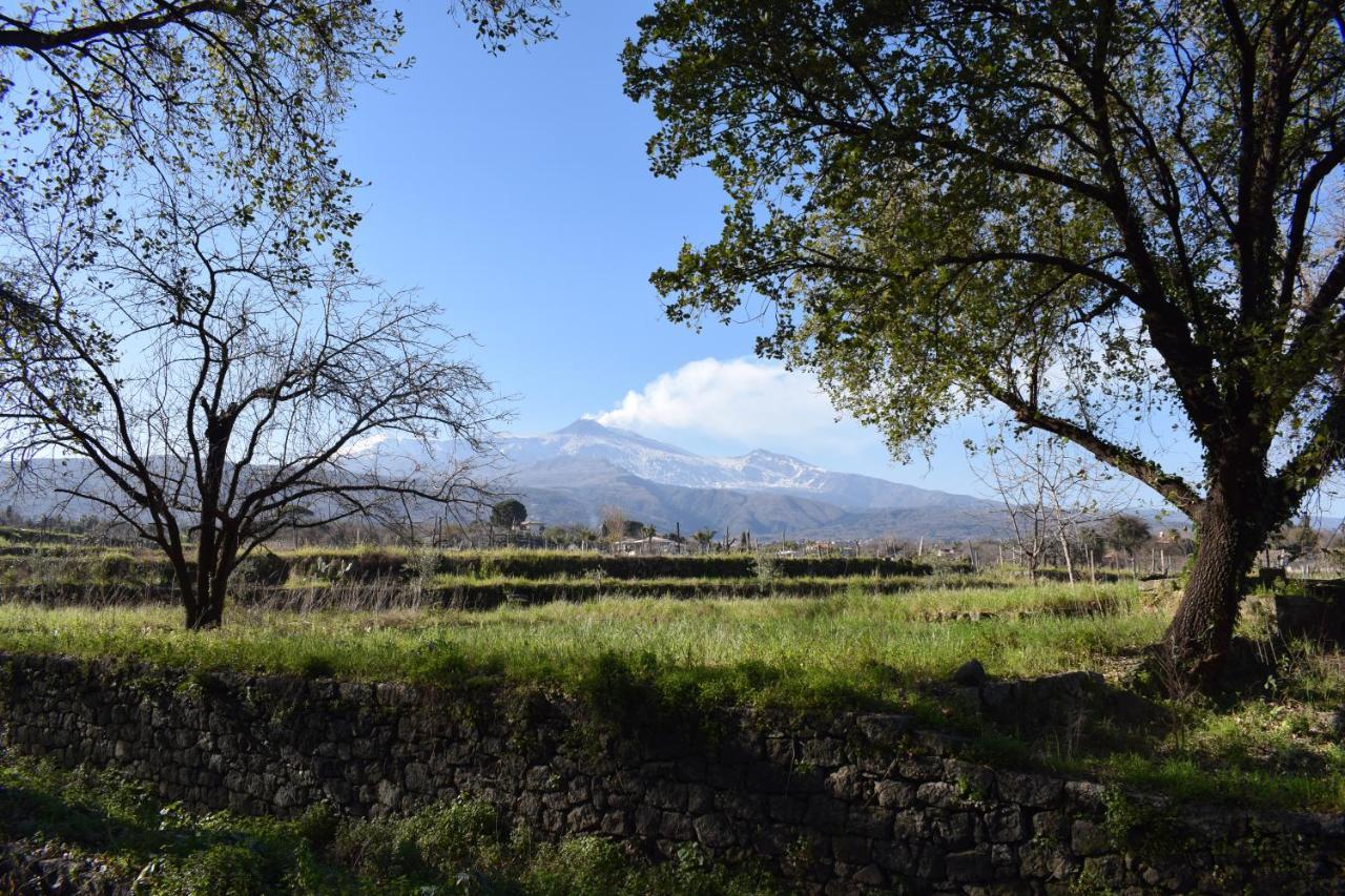 Вілла Etna Tra Le Querce Санта-Венеріна Екстер'єр фото